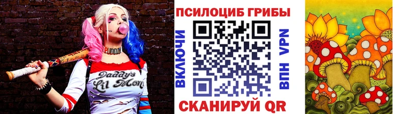 продажа наркотиков  Опочка  блэк спрут рабочий сайт  это как зайти  Галлюциногенные грибы ЛСД 