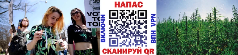 МАРИХУАНА MAZAR  купить  сайты  Опочка 